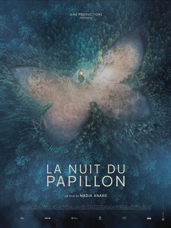 affiche dernière nuit du papillon pilote drone
